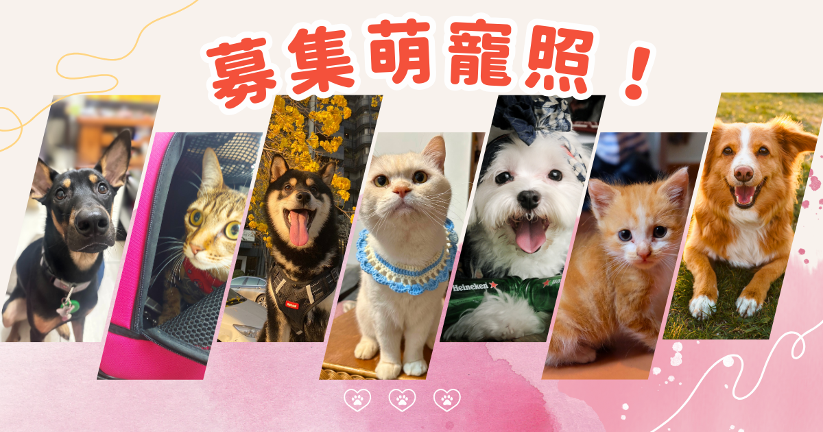 毛能量募集中：毛孩給你加油打氣！萌寵開啟美好一週